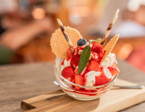 Frozen Joghurt im "Mein Lieblingsplatz" in Filzmoos