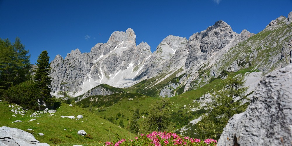 Traumhafte Naturerlebnisse, Filzmoos im Sommer © TVB Filzmoos